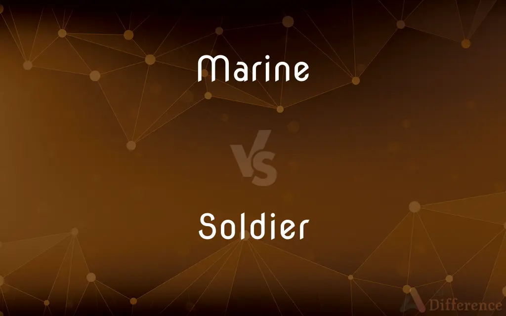 Marine vs. Soldier — What's the Difference?