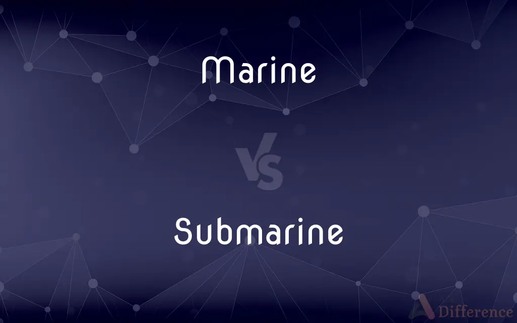 Marine vs. Submarine — What's the Difference?