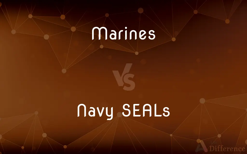 Marines vs. Navy SEALs — What's the Difference?