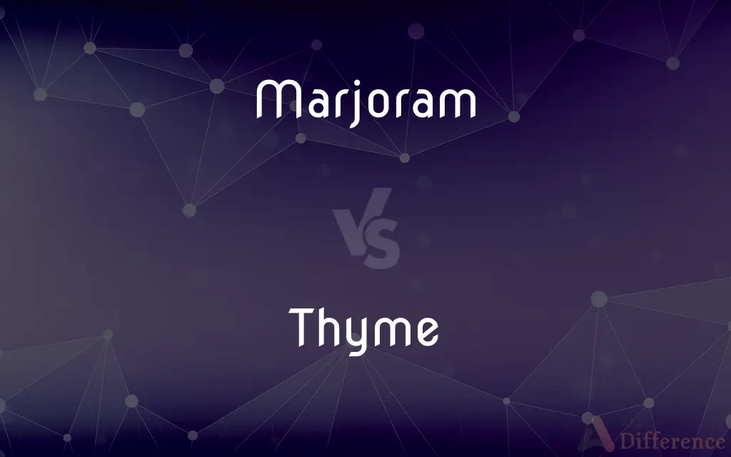 Marjoram vs. Thyme — What's the Difference?