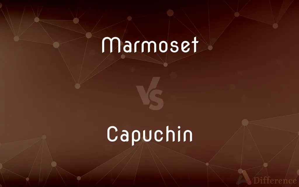 Marmoset vs. Capuchin