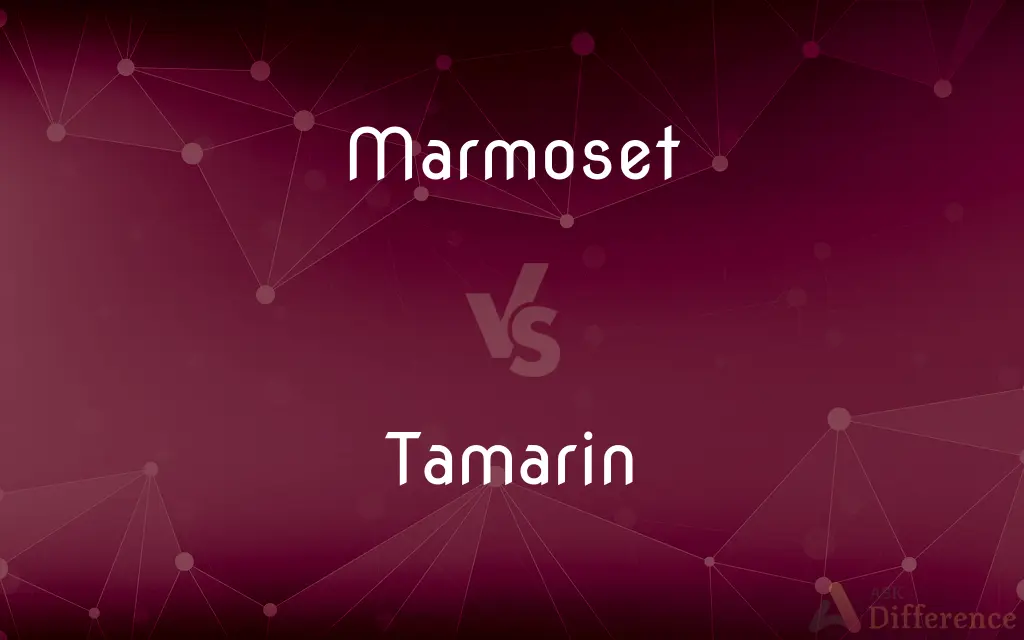 Marmoset vs. Tamarin — What's the Difference?
