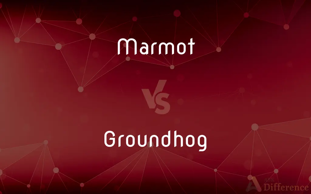 Marmot vs. Groundhog — What's the Difference?
