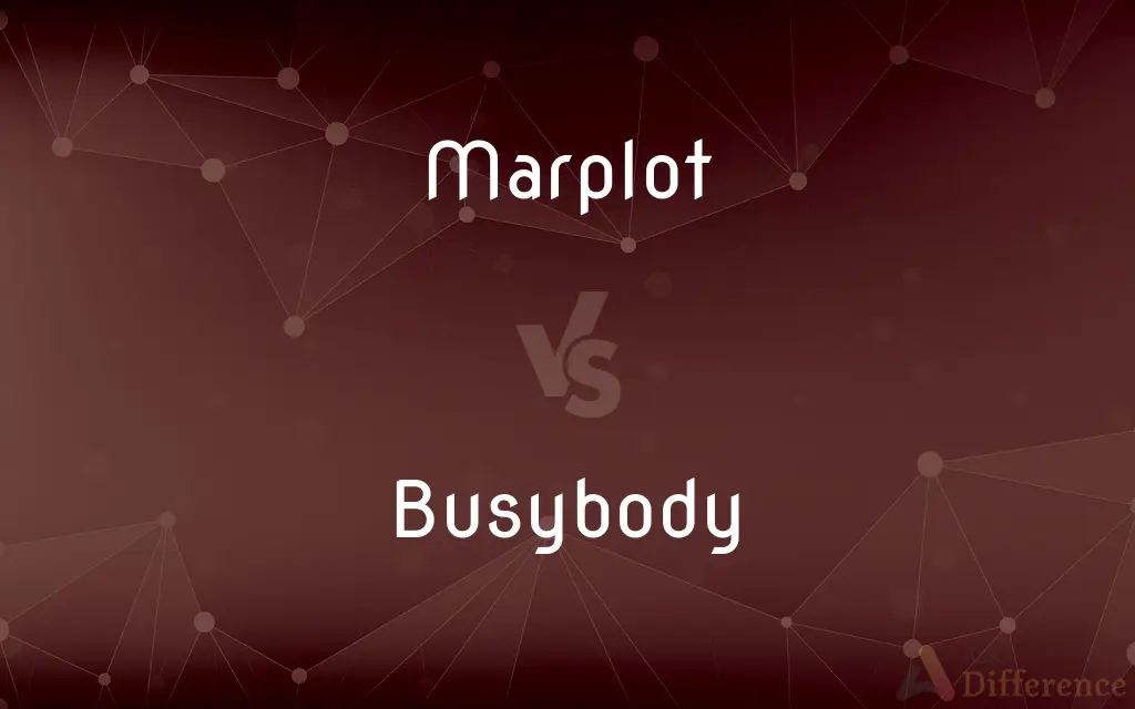 Marplot vs. Busybody — What's the Difference?