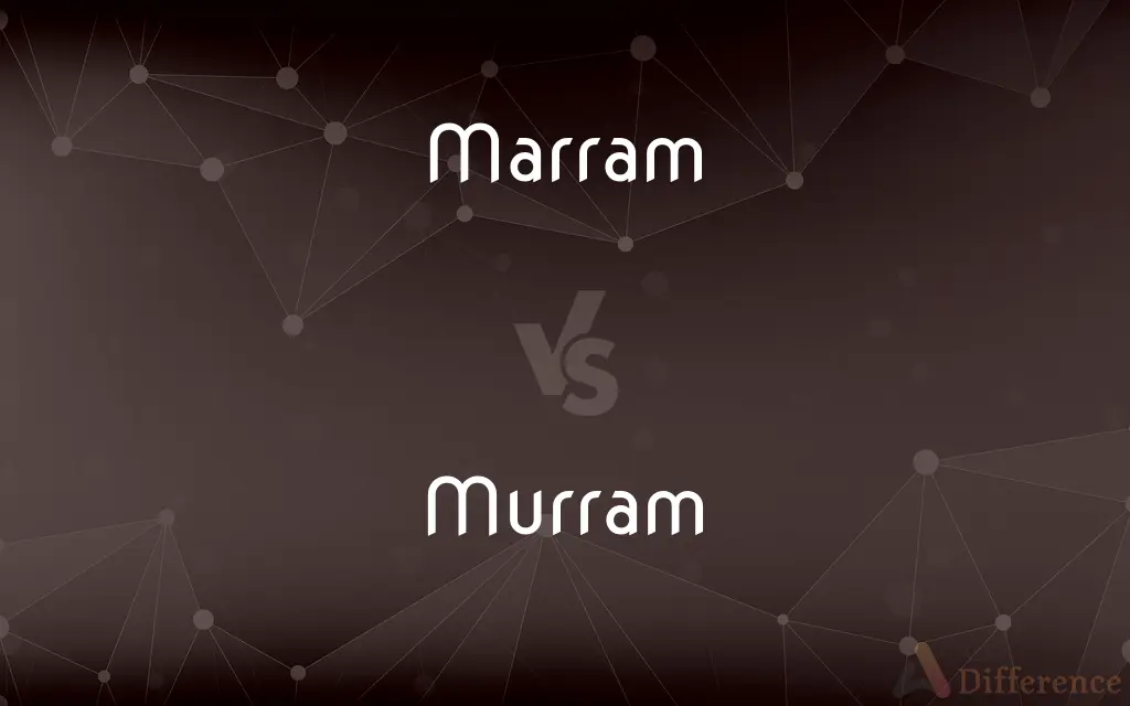 Marram vs. Murram — What's the Difference?