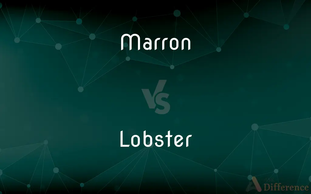 Marron vs. Lobster — What's the Difference?