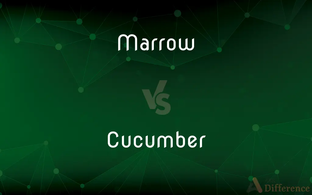 Marrow vs. Cucumber — What's the Difference?