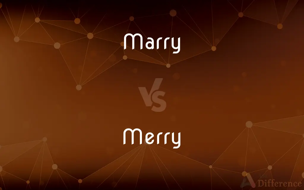 Marry vs. Merry — What's the Difference?