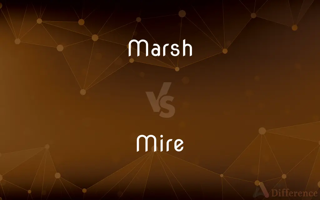 Marsh vs. Mire — What's the Difference?