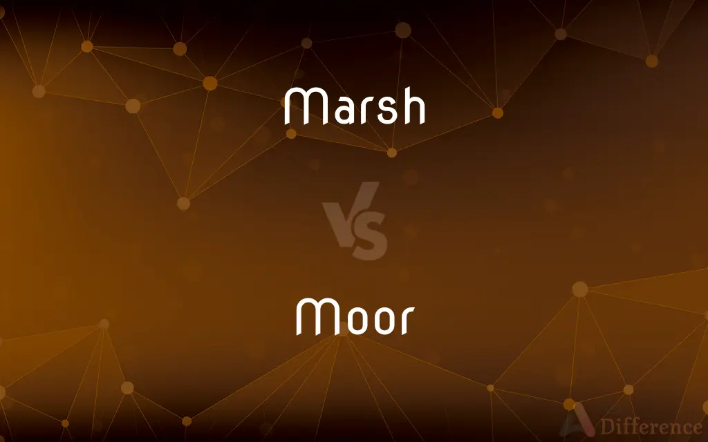 Marsh vs. Moor — What's the Difference?