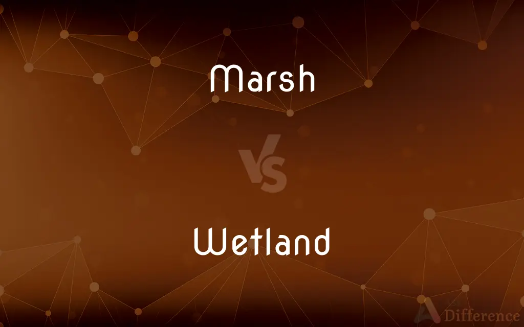 Marsh vs. Wetland — What's the Difference?