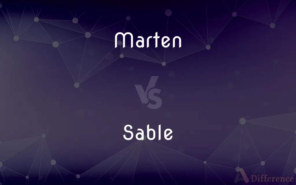 Marten vs. Sable — What's the Difference?