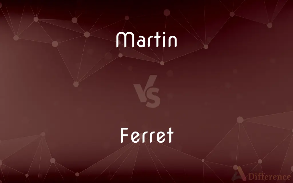 Martin vs. Ferret — What's the Difference?