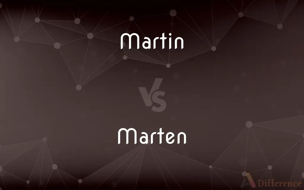 Martin vs. Marten — What's the Difference?