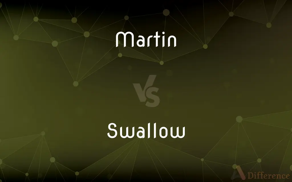 Martin vs. Swallow — What's the Difference?