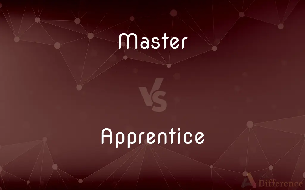 Master vs. Apprentice — What's the Difference?