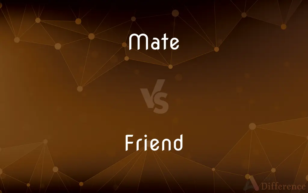 Mate vs. Friend — What's the Difference?