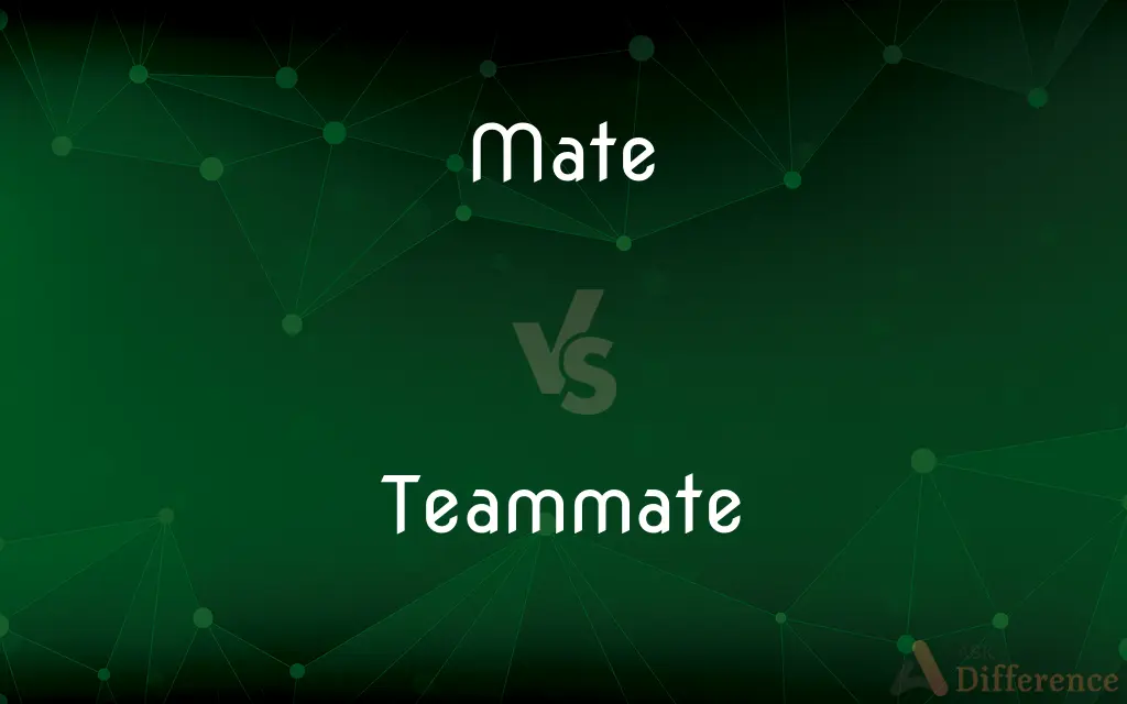 Mate vs. Teammate — What's the Difference?