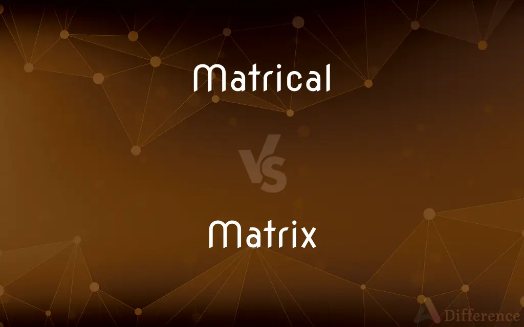 Matrical vs. Matrix — What's the Difference?