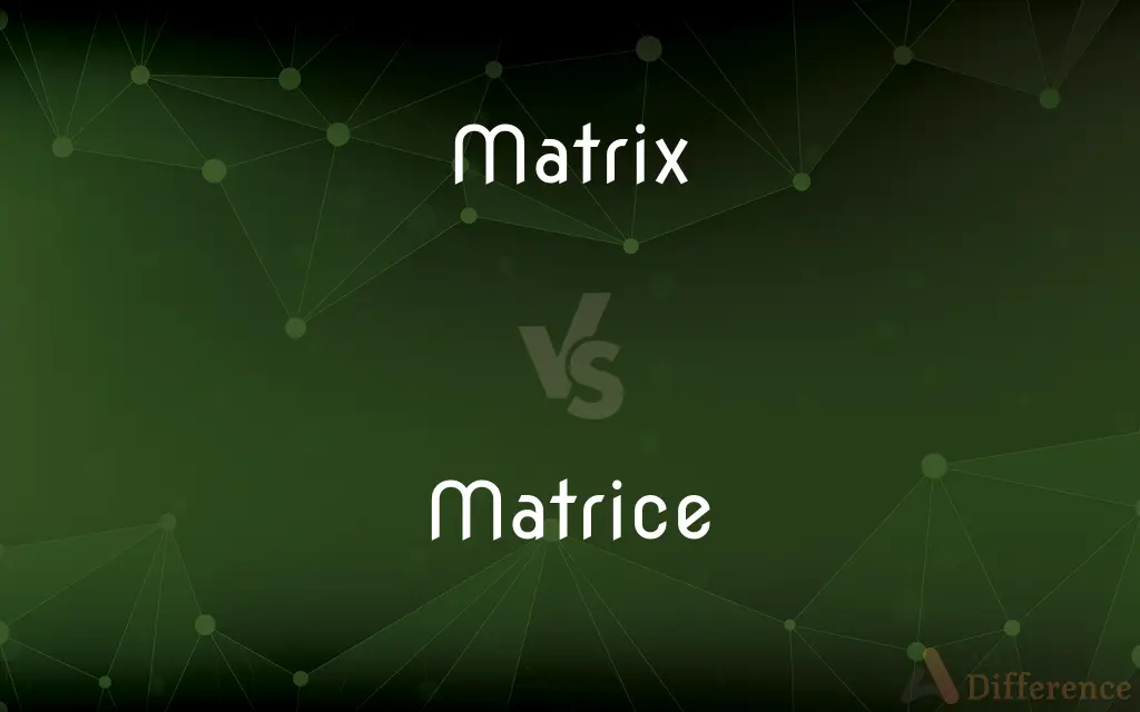 Matrix vs. Matrice — Which is Correct Spelling?
