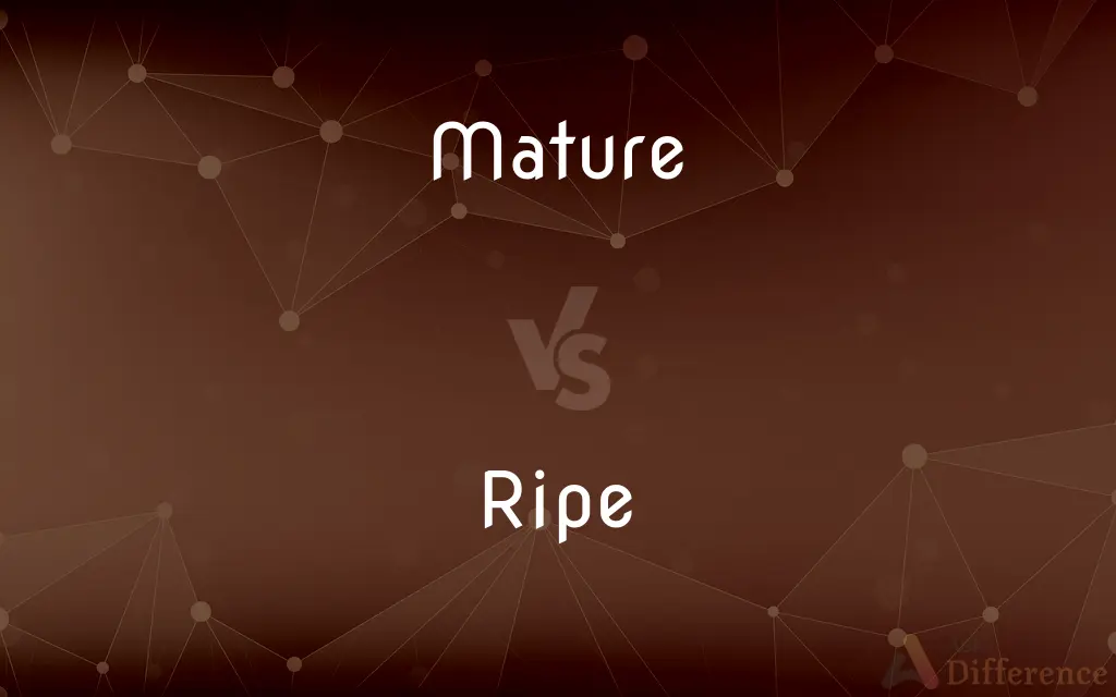 Mature vs. Ripe — What's the Difference?