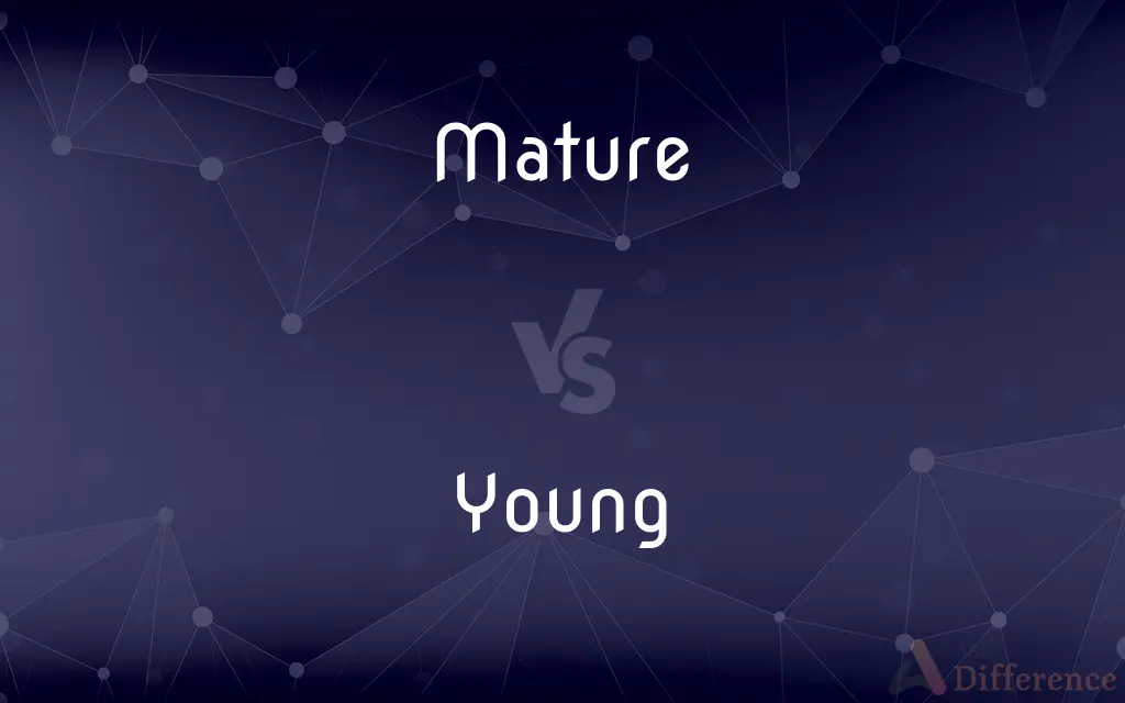 Mature vs. Young — What's the Difference?