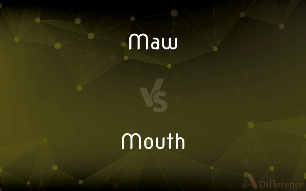 Maw vs. Mouth — What's the Difference?