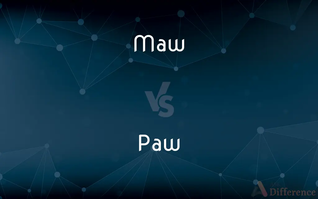 Maw vs. Paw — What's the Difference?