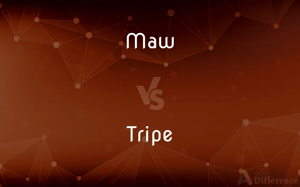 Maw vs. Tripe — What's the Difference?