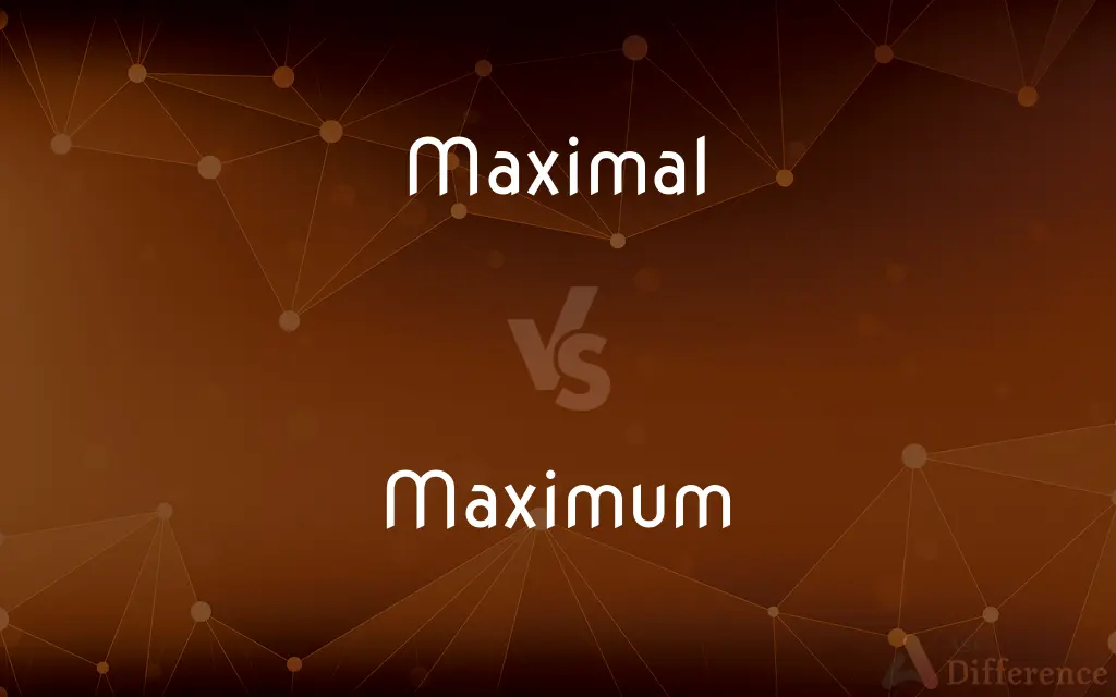 Maximal vs. Maximum — What's the Difference?