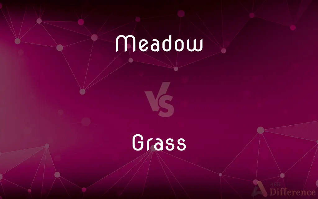 Meadow vs. Grass — What's the Difference?