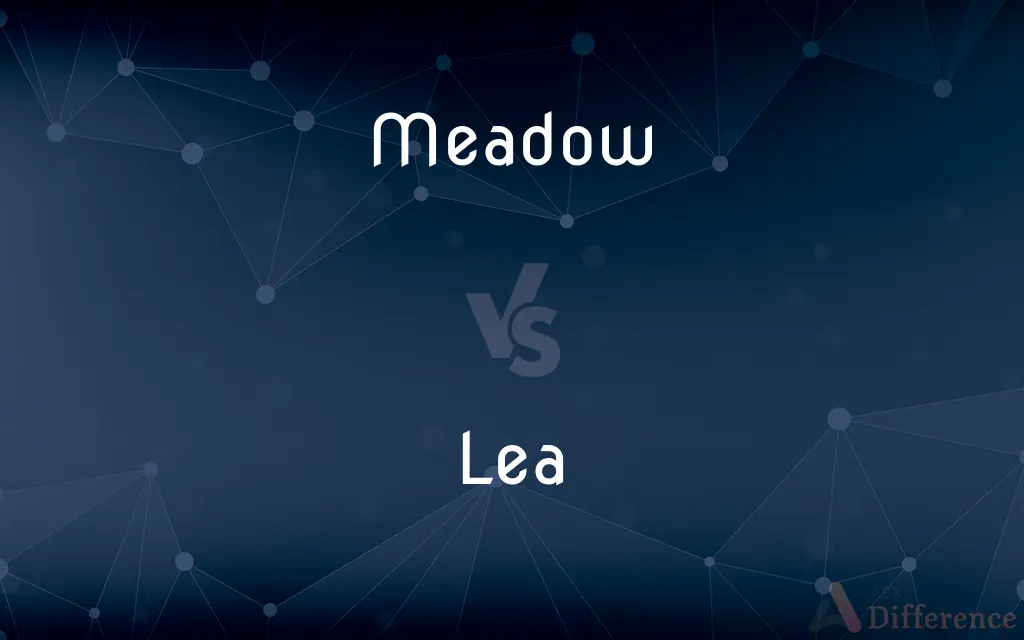 Meadow vs. Lea — What's the Difference?
