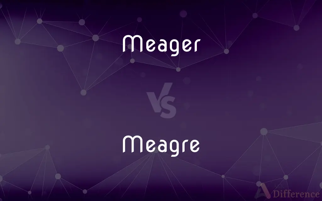 Meager vs. Meagre — What's the Difference?