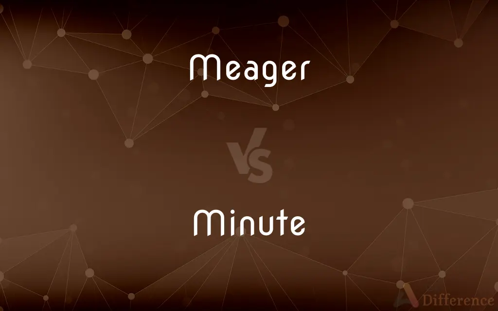 Meager vs. Minute — What's the Difference?