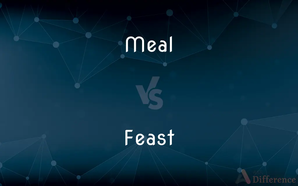 Meal vs. Feast — What's the Difference?