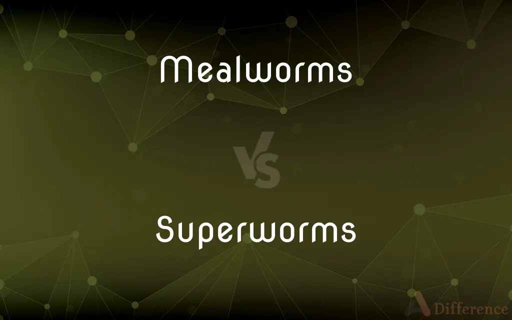 Mealworms vs. Superworms — What's the Difference?