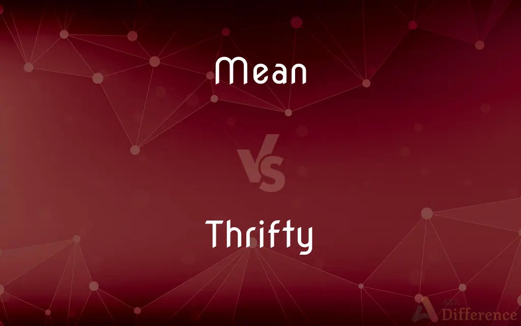 Mean vs. Thrifty — What's the Difference?