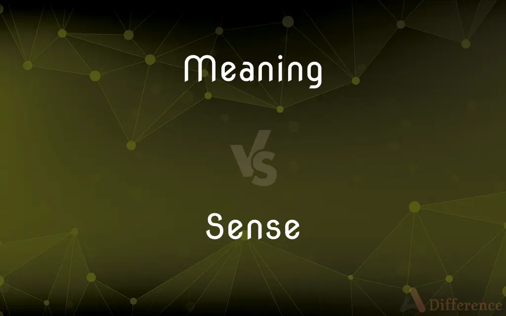 Meaning vs. Sense — What's the Difference?