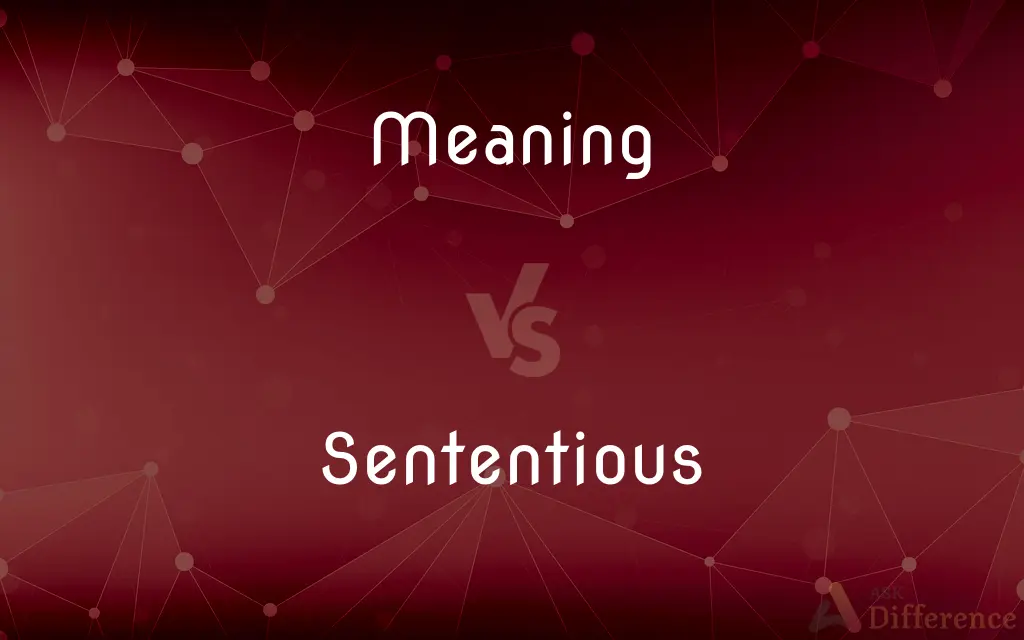 Meaning vs. Sententious — What's the Difference?