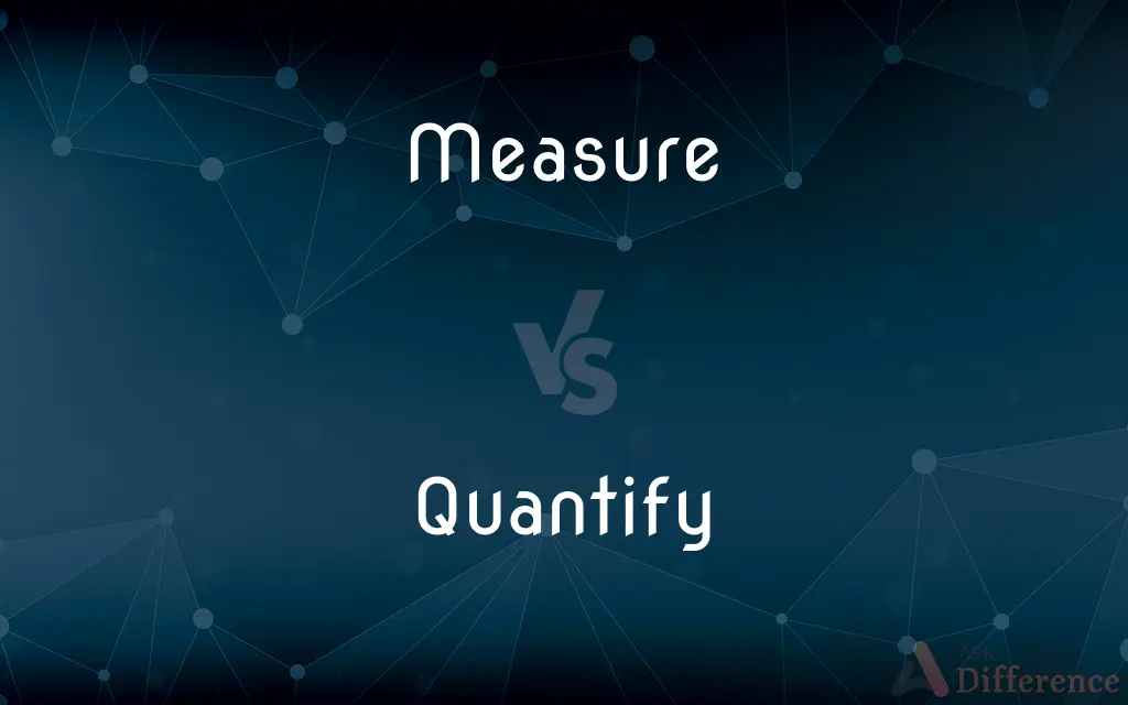 Measure vs. Quantify — What's the Difference?