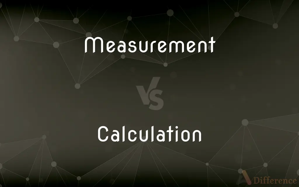 Measurement vs. Calculation — What's the Difference?