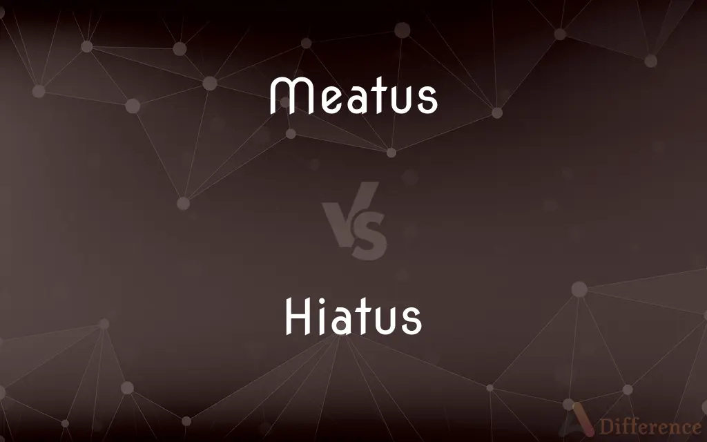 Meatus vs. Hiatus — What's the Difference?