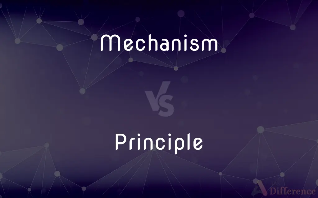 Mechanism vs. Principle — What's the Difference?