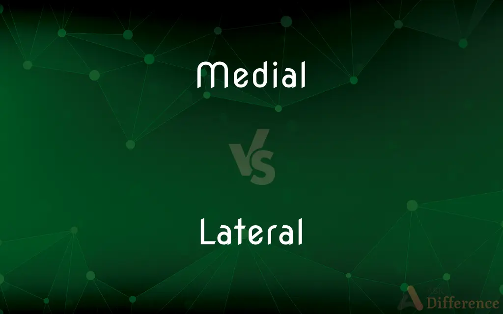 Medial vs. Lateral — What's the Difference?