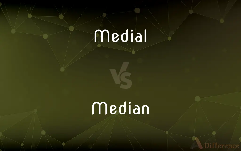 Medial vs. Median — What's the Difference?