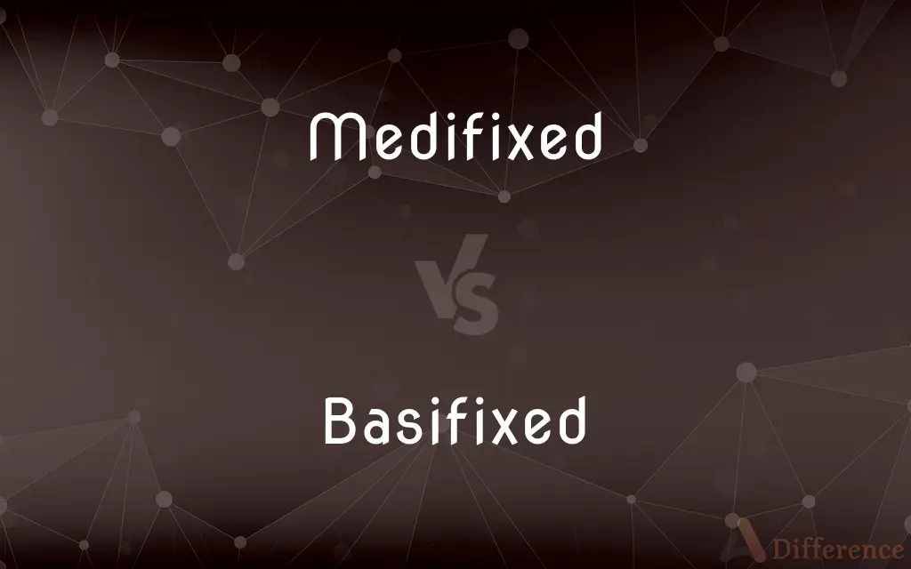 Medifixed vs. Basifixed — What's the Difference?