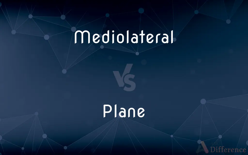 Mediolateral vs. Plane — What's the Difference?