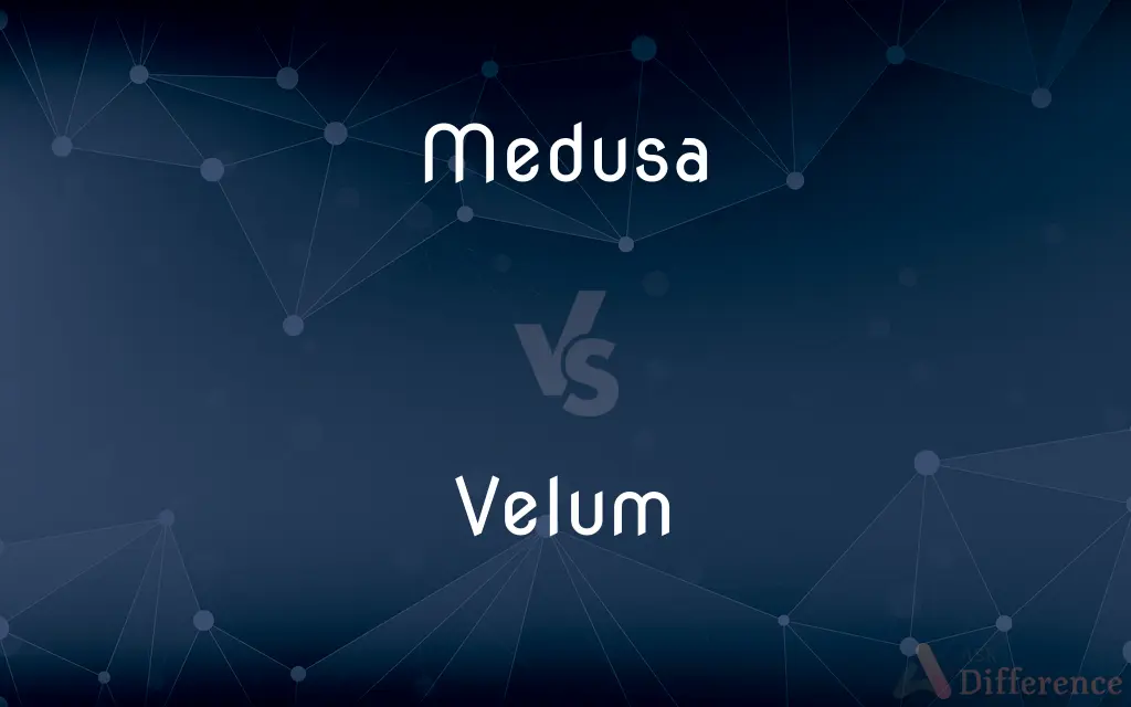 Medusa vs. Velum — What's the Difference?