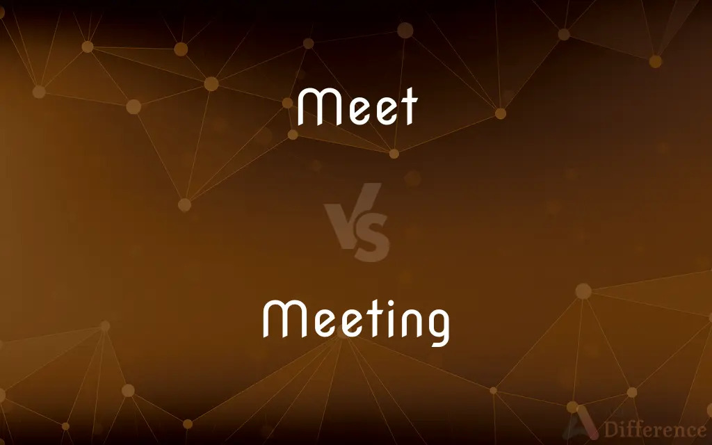 Meet vs. Meeting — What's the Difference?