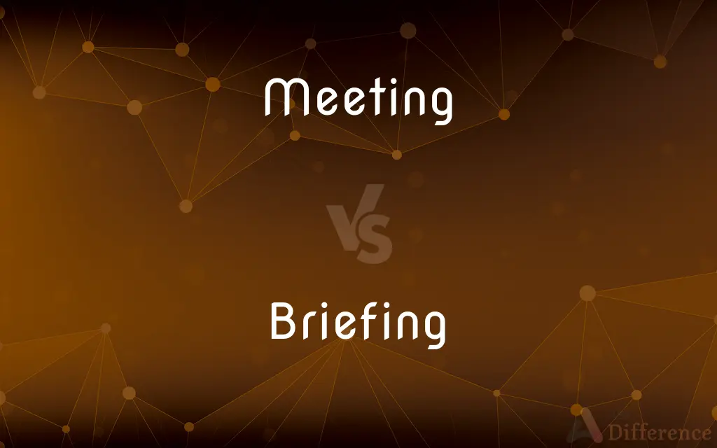 Meeting vs. Briefing — What's the Difference?